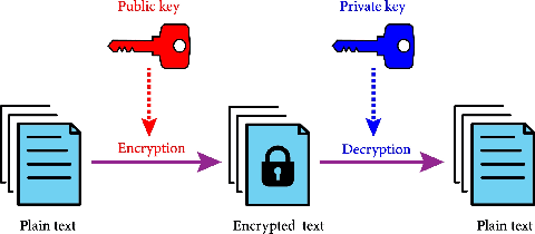 Public Key vs Private Key